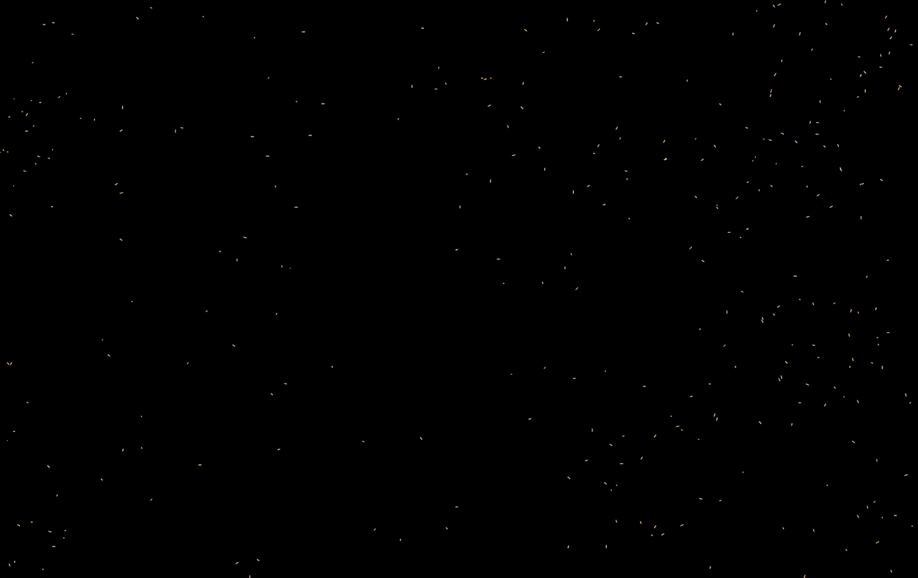 ParticleFlow Simulation